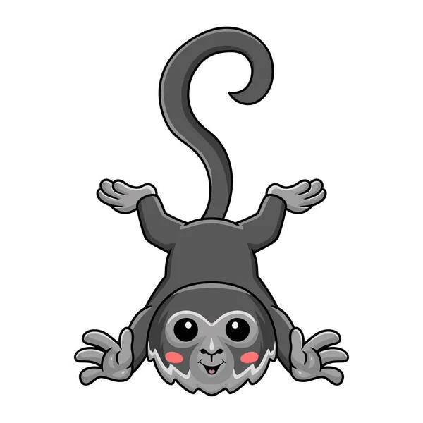 Ilustración Vectorial Lindo Mono Araña Negro Dibujos Animados Posando — Vector de stock