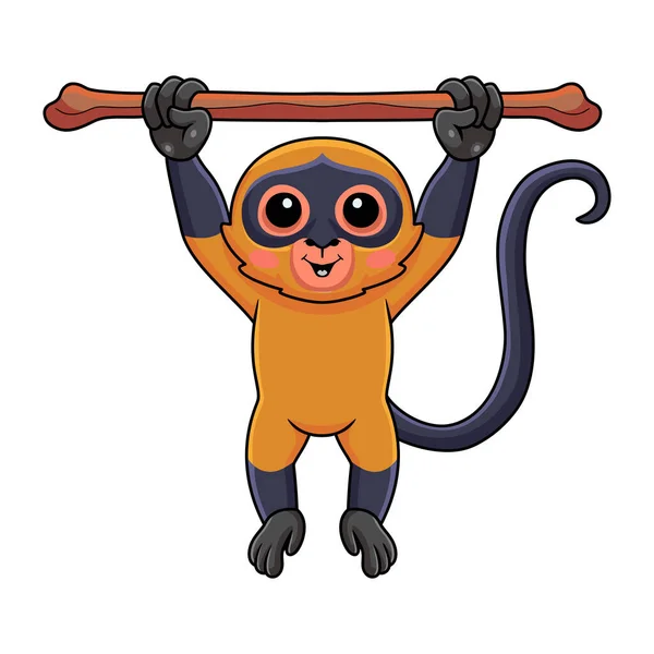 Vector Illustration Cute Spider Monkey Cartoon Hanging Tree — Stock Vector