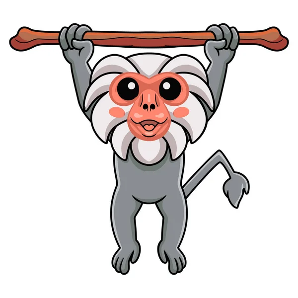Vector Illustration Cute Little Hamadryad Monkey Cartoon Hanging Tree — Image vectorielle