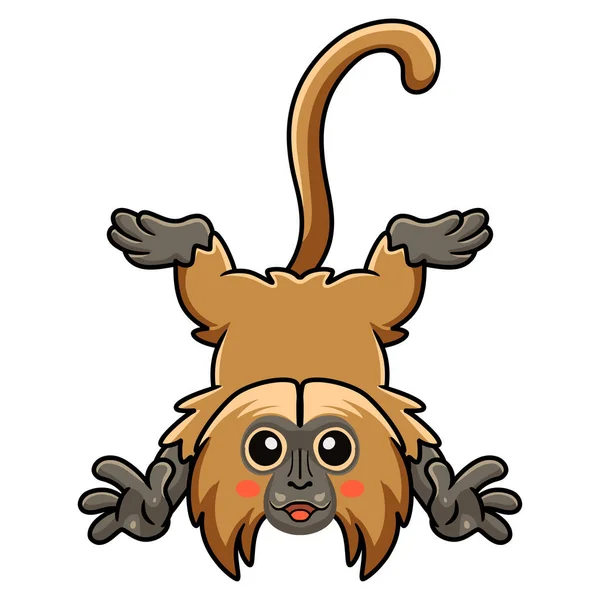 Vector Illustration Cute Little Gelada Monkey Cartoon Posing — Stock vektor
