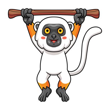 Ağaçta asılı şirin sifaka lemur maymun çizgi filminin vektör çizimi