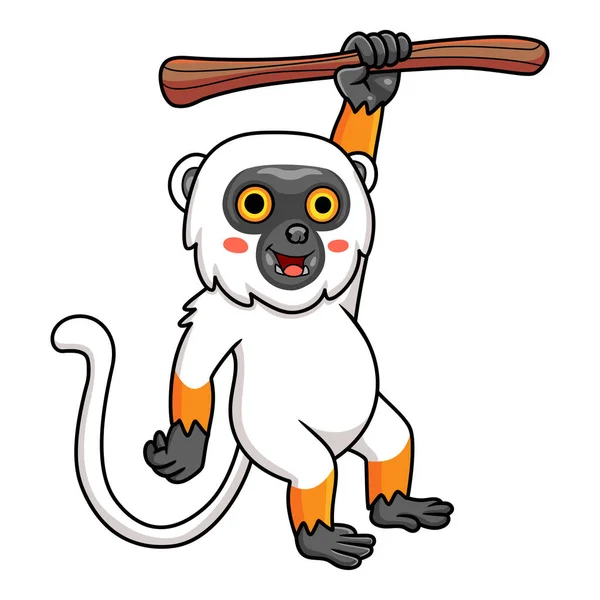Wektor Ilustracja Cute Sifaka Lemur Małpa Kreskówka Wisząca Drzewie — Wektor stockowy