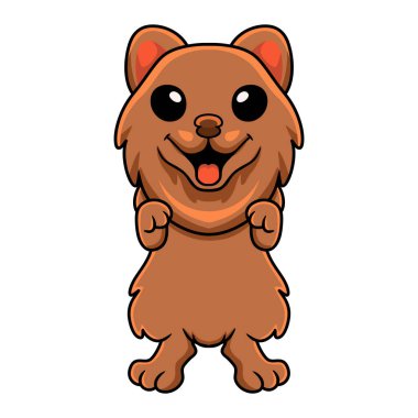 Vector illustration of Cute little pomeranian dog cartoon