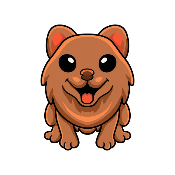 Vector Illustration Cute Little Pomeranian Dog Cartoon — Stock Vector