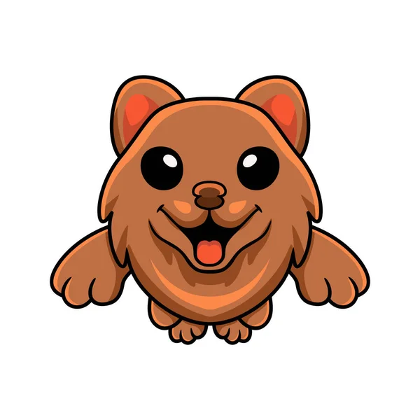 Vector Illustration Cute Little Pomeranian Dog Cartoon Jumping — ストックベクタ