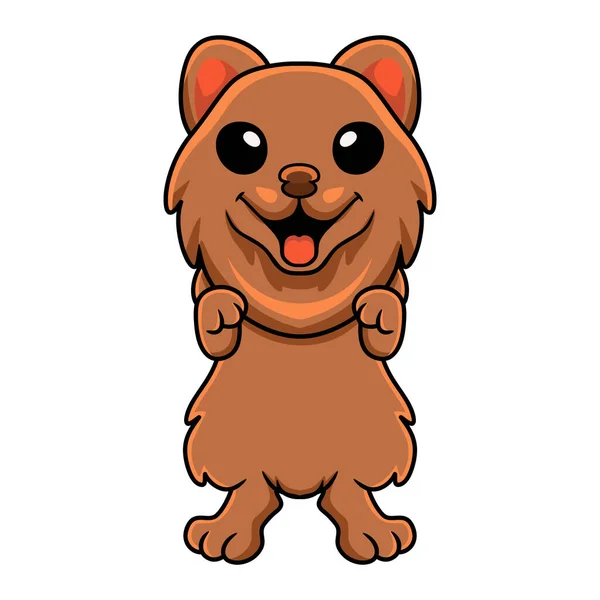Vector Illustration Cute Little Pomeranian Dog Cartoon — ストックベクタ