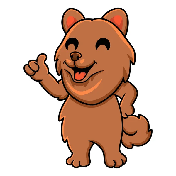 Vector Illustration Cute Little Pomeranian Dog Cartoon Giving Thumb — Vetor de Stock