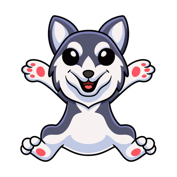 Vector illustration of Cute siberian husky dog cartoon