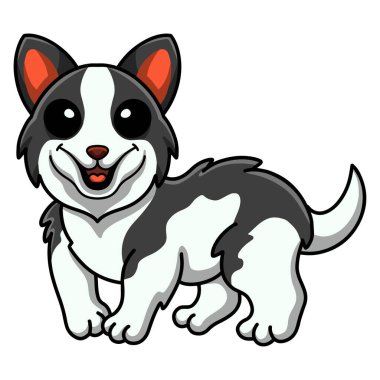 Vector illustration of Cute border collie dog cartoon