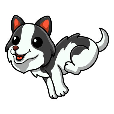 Vector illustration of Cute border collie dog cartoon running