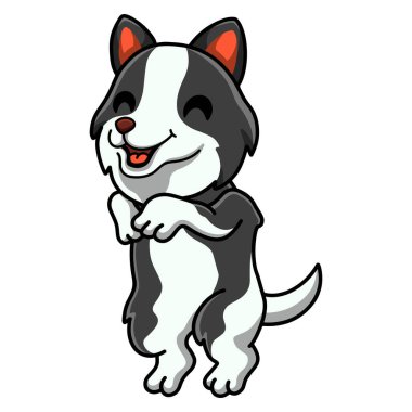 Vector illustration of Cute border collie dog cartoon standing