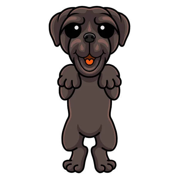 Vector Illustration Cute Neapolitan Mastiff Dog Cartoon Standing — Vetor de Stock
