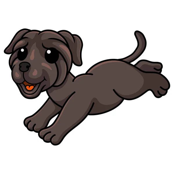 Vector Illustration Cute Neapolitan Mastiff Dog Cartoon Running — Stockvector