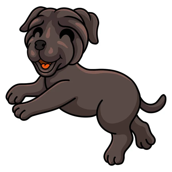 Vector Illustration Cute Neapolitan Mastiff Dog Cartoon — Vetor de Stock