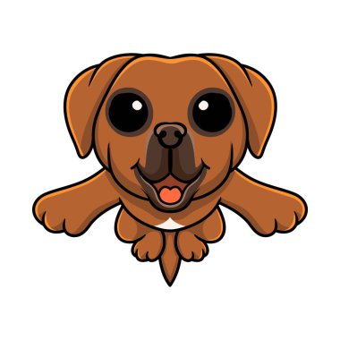 Vector illustration of Cute tosa inu cartoon jumping