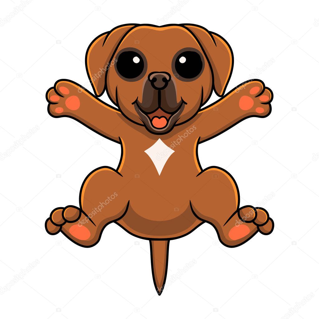 Vector illustration of Cute tosa inu cartoon posing