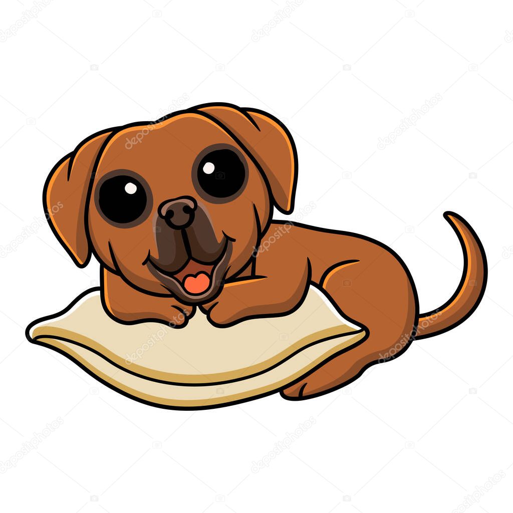 Vector illustration of Cute tosa inu cartoon on the pillow