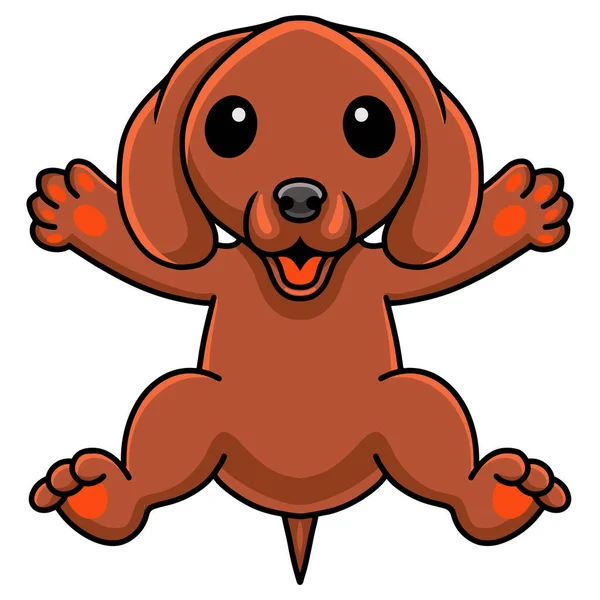Vector Illustration Cute Dachshund Dog Cartoon Posing — Stock Vector