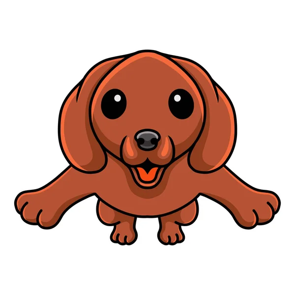 Ilustración Vectorial Saltos Dibujos Animados Lindo Perro Salchicha — Archivo Imágenes Vectoriales