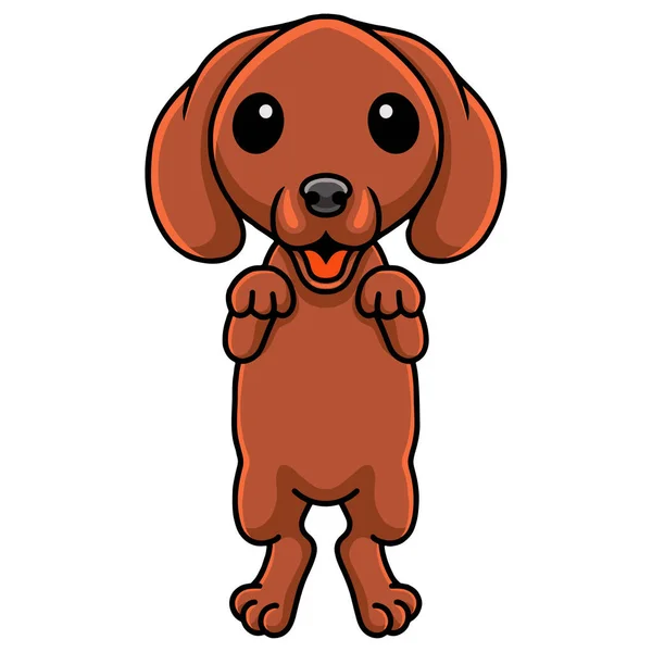 Ilustração Vetorial Bonito Dachshund Cão Desenho Animado Posando —  Vetores de Stock