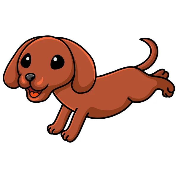 Vector Illustration Cute Dachshund Dog Cartoon Running — Stock Vector