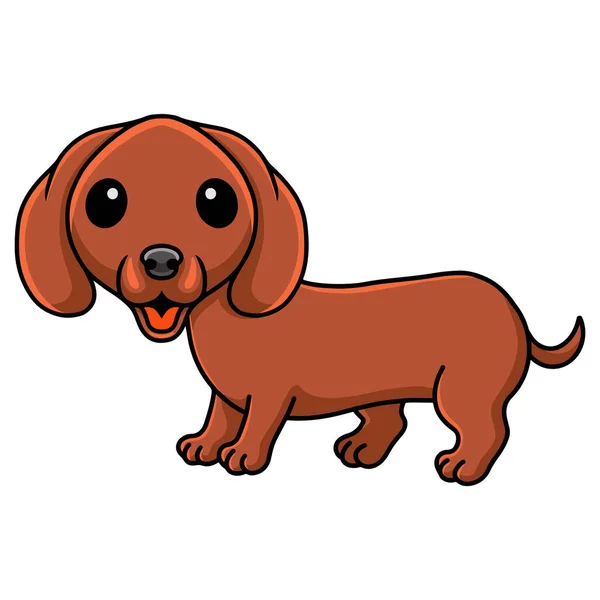 Vector Illustration Cute Dachshund Dog Cartoon Posing — Stock Vector