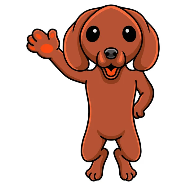 Ilustração Vetorial Bonito Dachshund Cão Desenho Animado Acenando Mão — Vetor de Stock