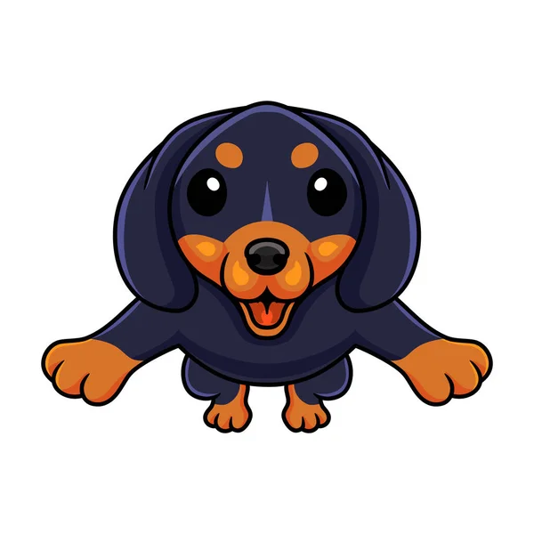 Vector Illustration Cute Dashund Dog Cartoon Jumping — Stock Vector