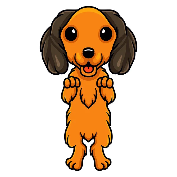 Vector Illustratie Van Schattige Teckel Hond Cartoon Poseren — Stockvector