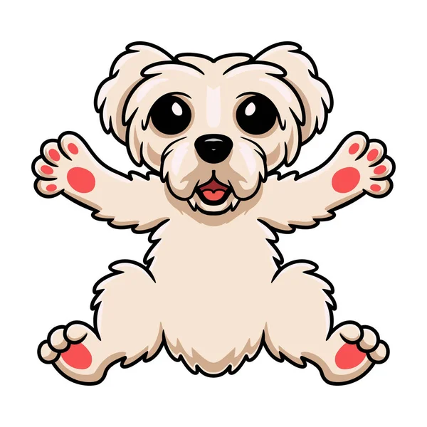 Illustrazione Vettoriale Del Cartone Animato Carino Cane Cucciolo Maltese — Vettoriale Stock