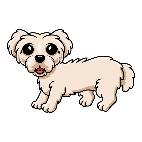 ベクトル図のかわいいマルタ子犬の漫画 — ストックベクタ