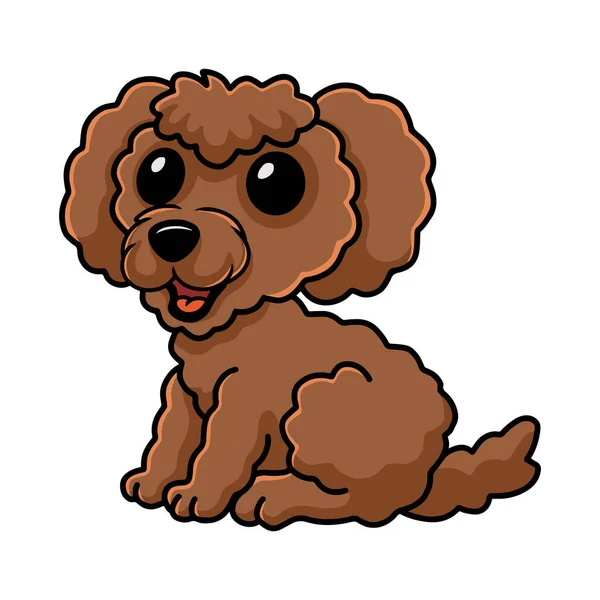 Ilustração Vetorial Bonito Brinquedo Poodle Cão Desenhos Animados — Vetor de Stock