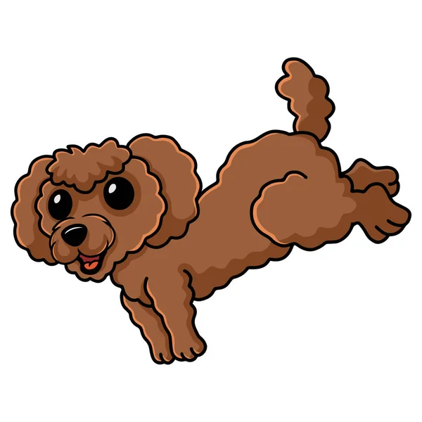 Ilustración Vectorial Juguete Lindo Perro Caniche Dibujos Animados — Vector de stock