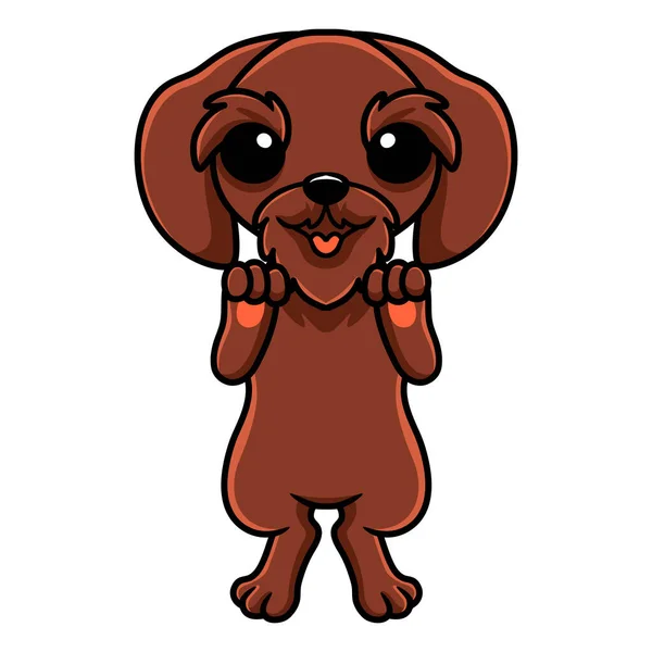 Vektorillustration Von Cute Pudelpointer Dog Cartoon Standing — Stockvektor