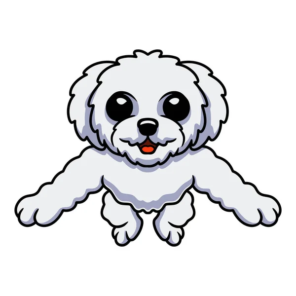 Illustration Vectorielle Bichon Mignon Frise Dessin Animé Posant — Image vectorielle