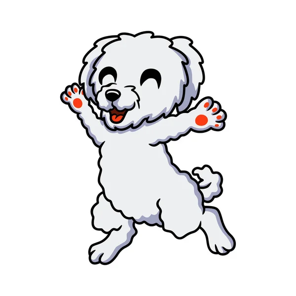 Ilustração Vetorial Bonito Bichon Frise Desenho Animado Andando —  Vetores de Stock