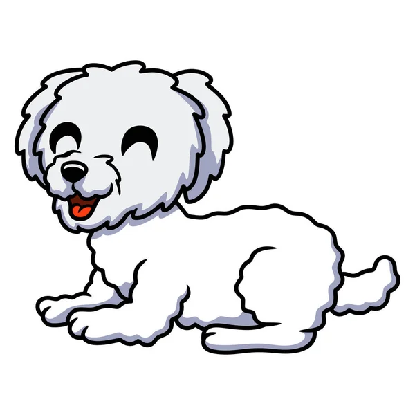 Vektorillustration Des Niedlichen Bichon Frise Cartoons — Stockvektor