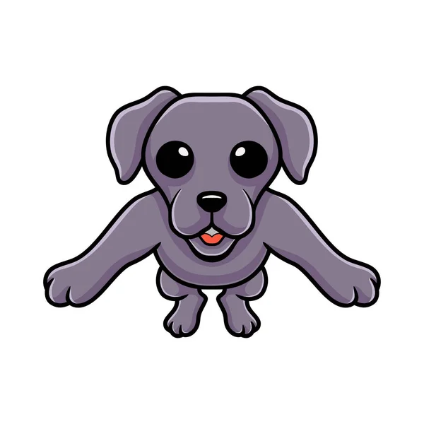 Vector Illustration Cute Weimaraner Dog Cartoon Posing — Stock Vector