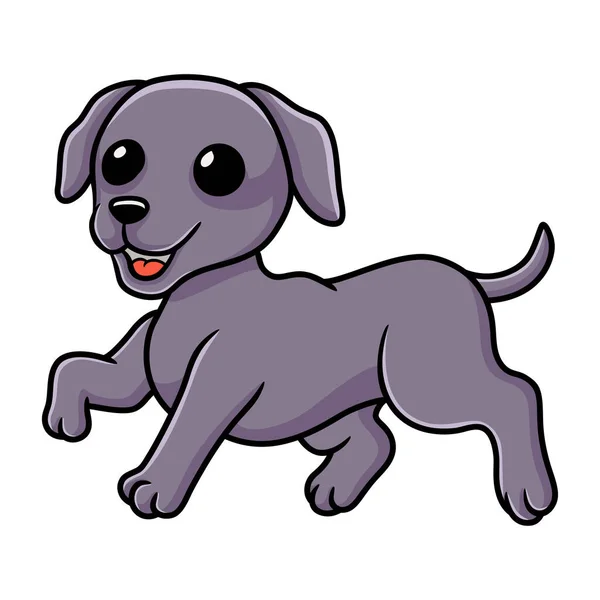 Vector Illustration Cute Little Weimaraner Dog Cartoon — Stock Vector