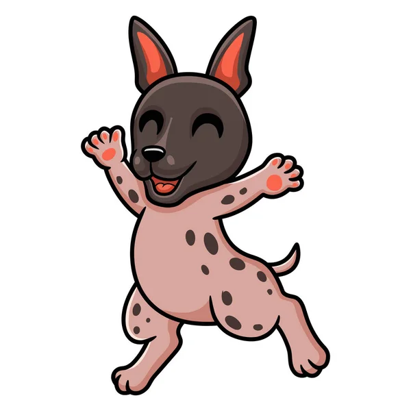 Illustrazione Vettoriale Del Cartone Animato Americano Hairless Terrier — Vettoriale Stock