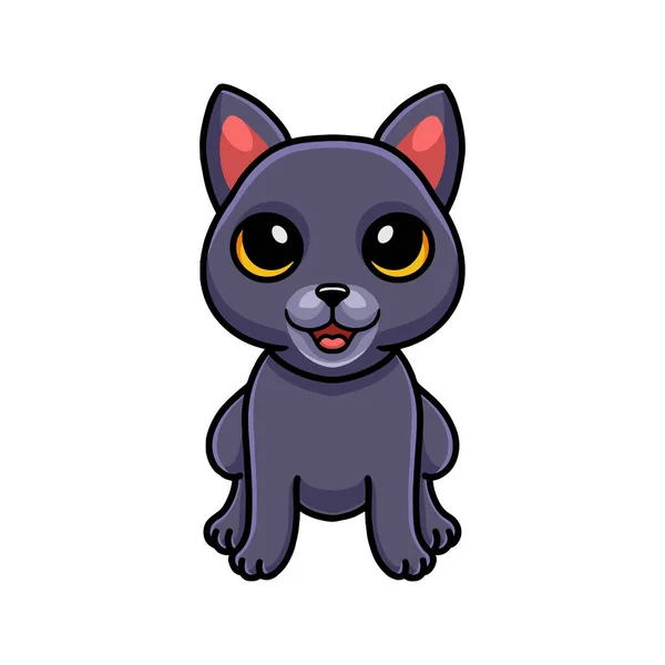 Ilustração Vetorial Cute Chartreux Desenho Animado Gato Sentado — Vetor de Stock