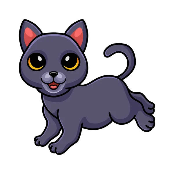 Vector Illustration Cute Chartreux Cat Cartoon Walking — Stock Vector