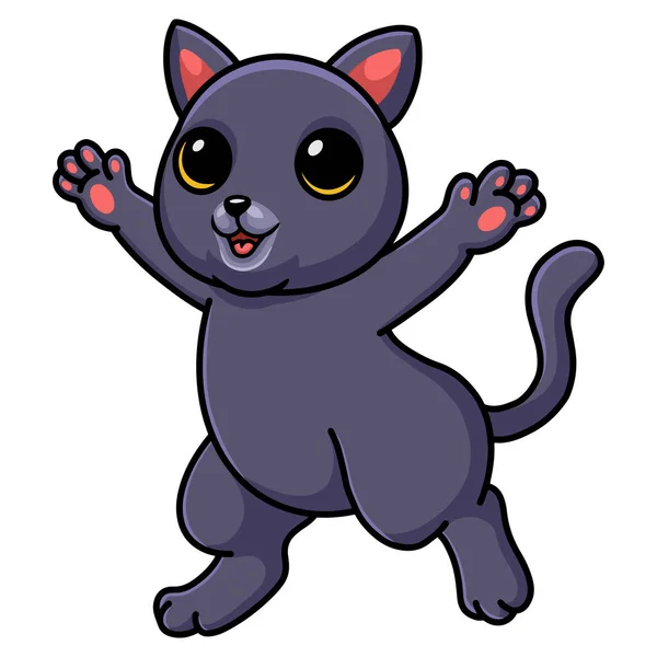 Ilustração Vetorial Bonito Chartreux Desenho Animado Gato Posando — Vetor de Stock