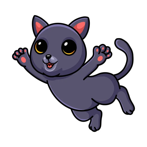 Εικονογράφηση Διάνυσμα Του Χαριτωμένο Chartreux Γάτα Κινουμένων Σχεδίων Που Θέτουν — Διανυσματικό Αρχείο