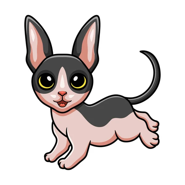 Ilustração Vetorial Bonito Gato Cornish Rex Desenhos Animados —  Vetores de Stock