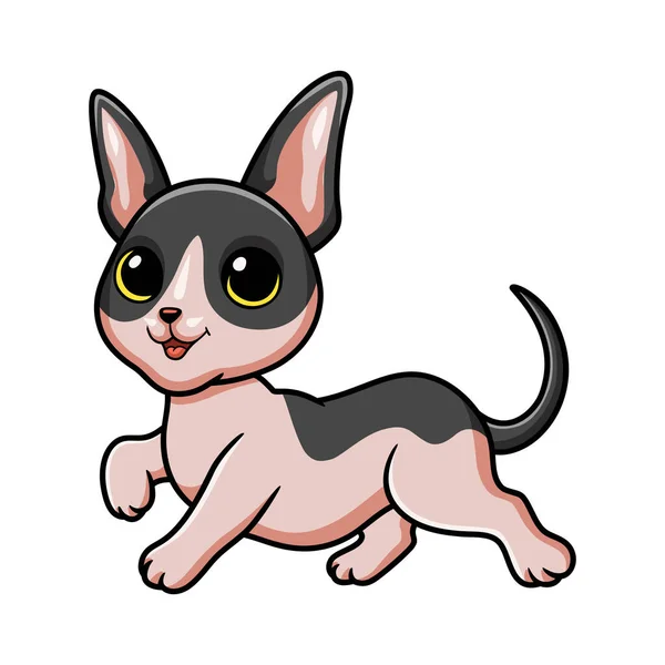 Ilustração Vetorial Bonito Gato Cornish Rex Desenhos Animados —  Vetores de Stock