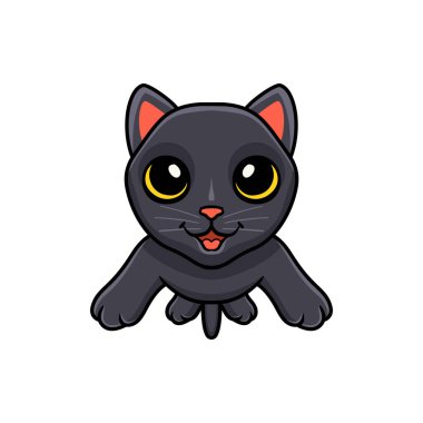 Şirin Bombay kedi pozunun vektör çizimi