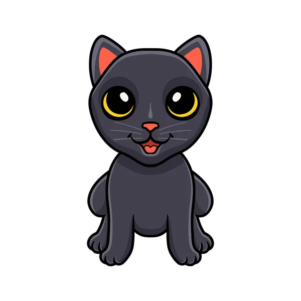 Vector Illustration Cute Bombay Cat Cartoon Sitting — Stock Vector