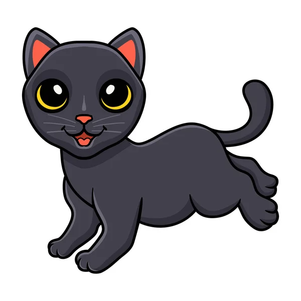 Vector Illustration Cute Bombay Cat Cartoon Posing — Stock Vector