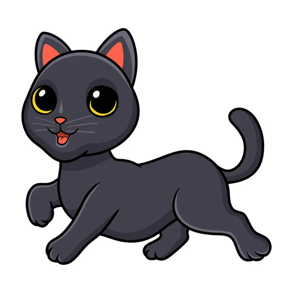 Vektor Illustration Von Cute Bombay Cat Cartoon Posiert — Stockvektor